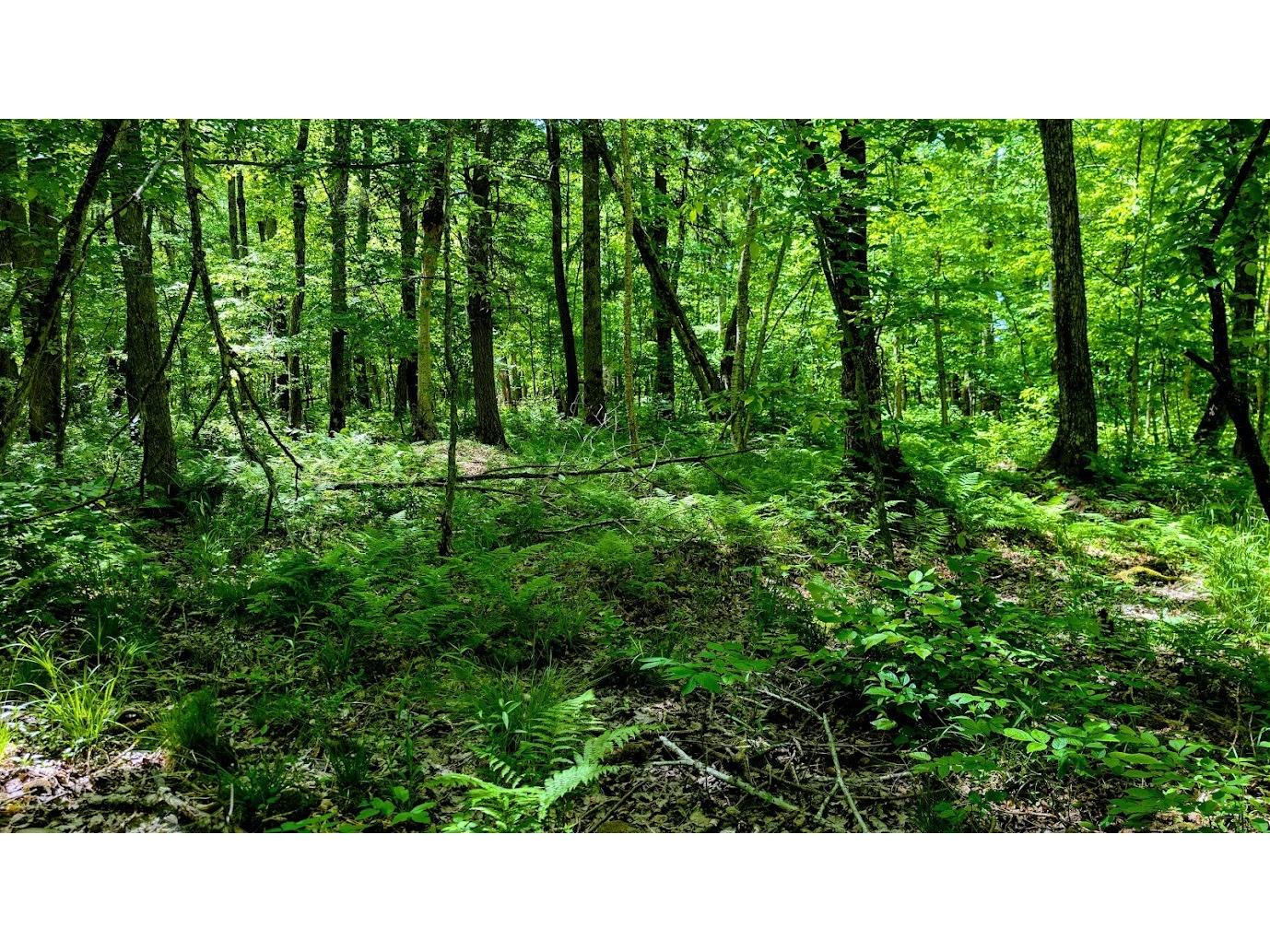 W4241 Walrath Road Glen Flora WI 54526 1601860 image45