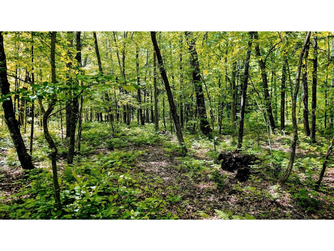 W4241 Walrath Road Glen Flora WI 54526 1601860 image46