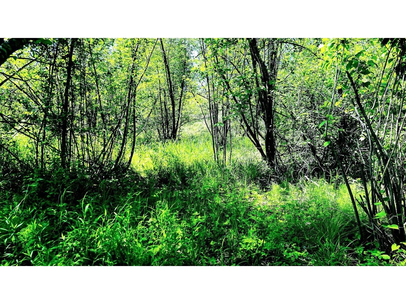 W4241 Walrath Road Glen Flora WI 54526 1601860 image49