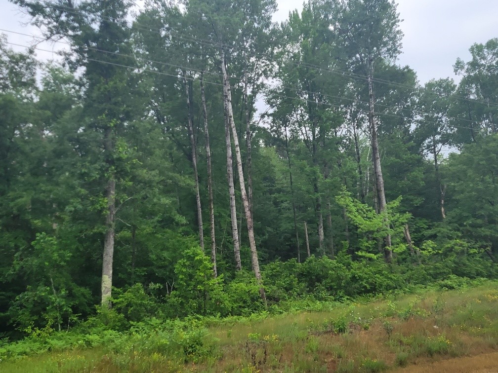 W5171 County Highway A Road Spooner WI 54801 1574609 image1