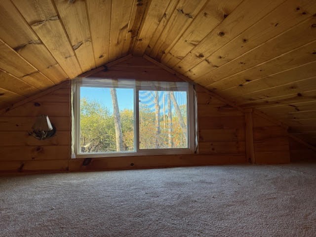 W5693 Trego Park Road Road Trego WI 54888 - Namekagon river/ Lake Trego 1596379 image13