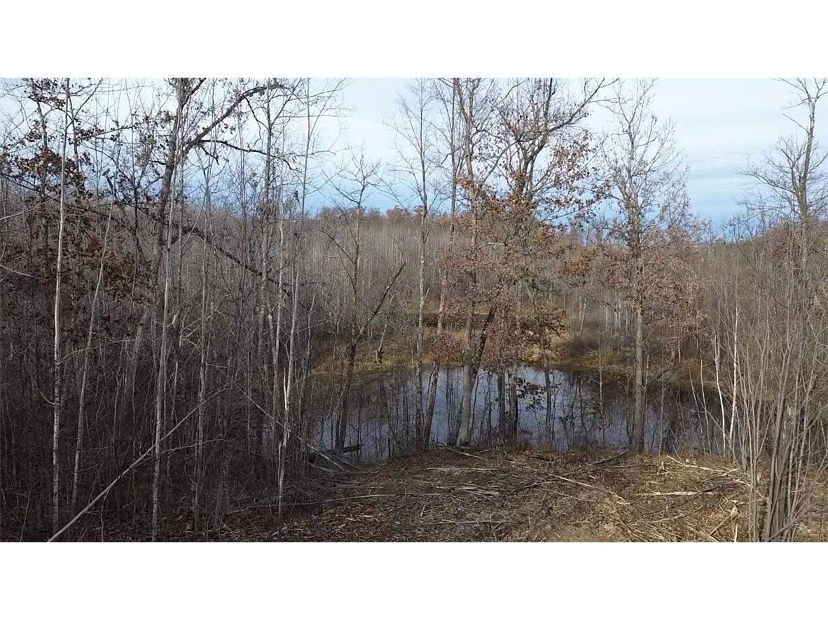 W58XX Oak Ridge Drive Trego WI 54888 1596933 image1