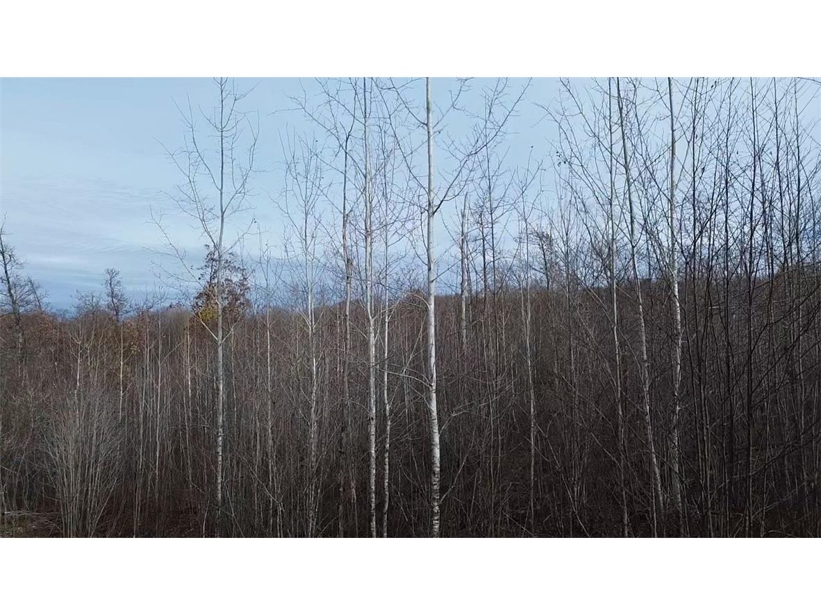 W58XX Oak Ridge Drive Trego WI 54888 1596933 image10