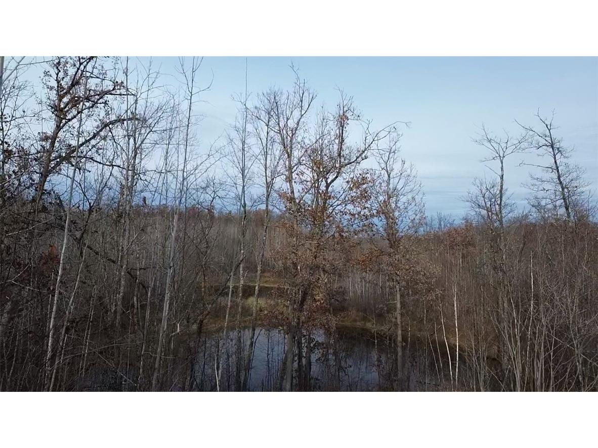 W58XX Oak Ridge Drive Trego WI 54888 1596933 image11