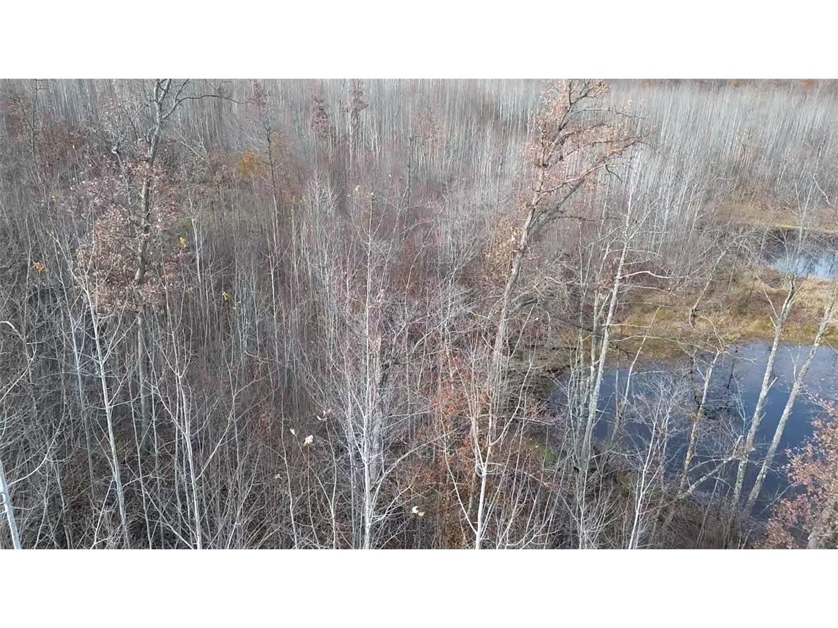 W58XX Oak Ridge Drive Trego WI 54888 1596933 image14