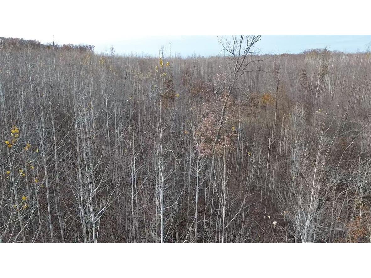 W58XX Oak Ridge Drive Trego WI 54888 1596933 image15