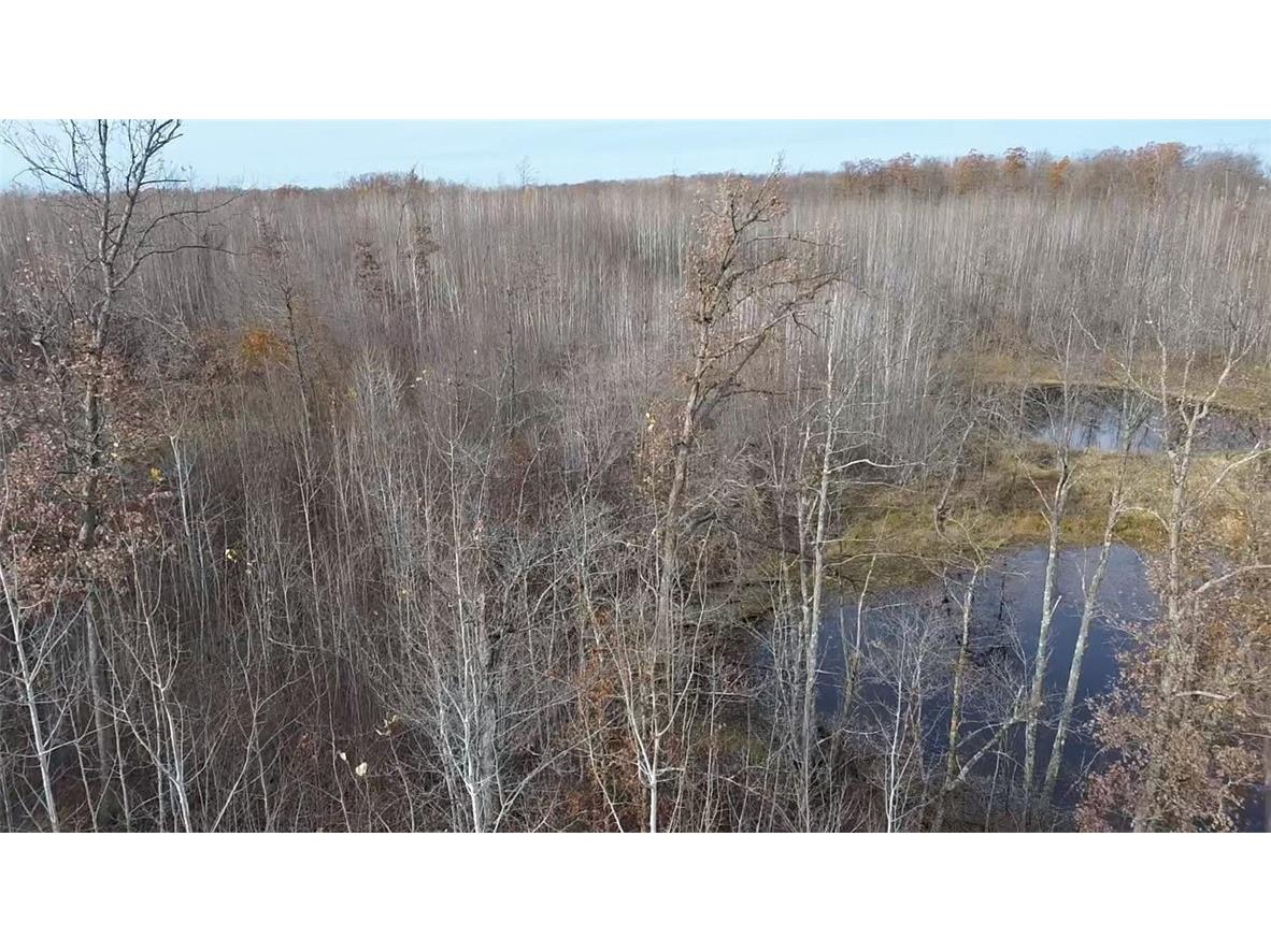 W58XX Oak Ridge Drive Trego WI 54888 1596933 image16