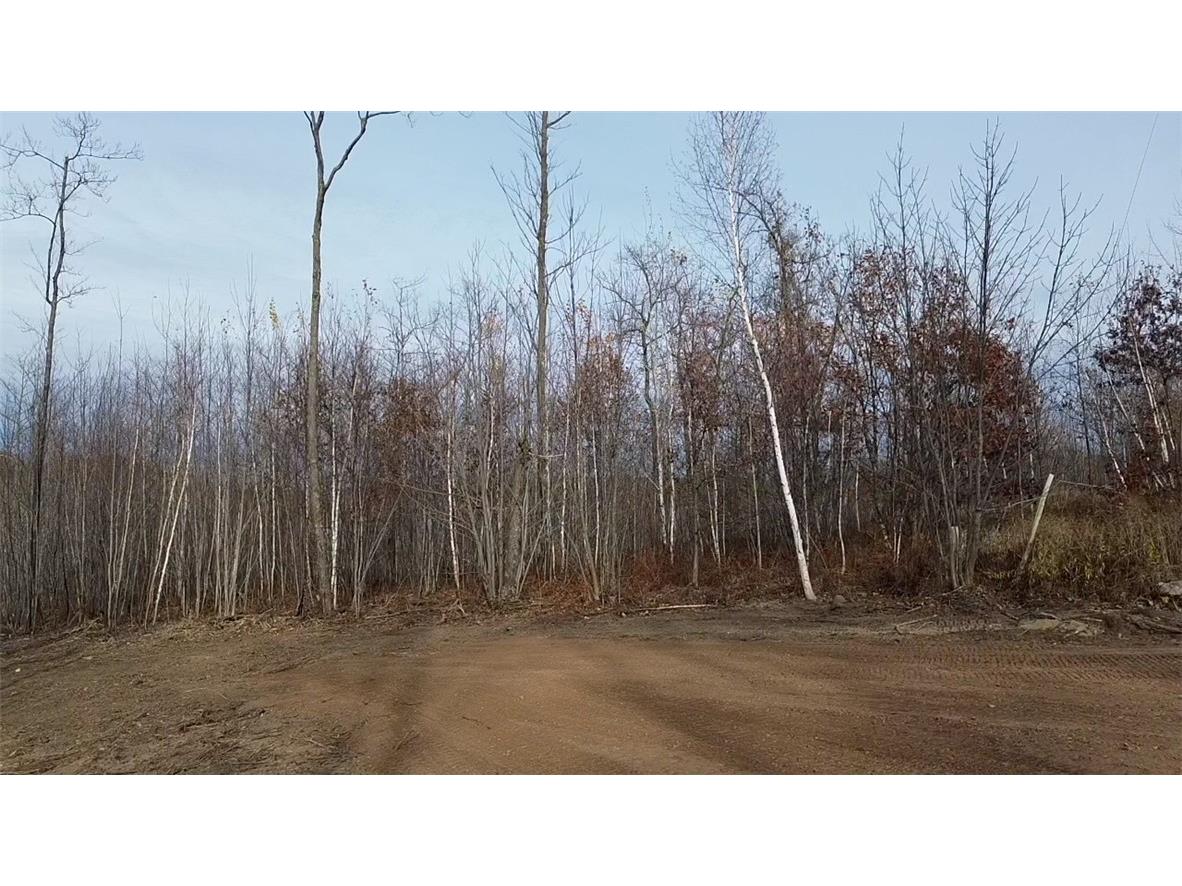 W58XX Oak Ridge Drive Trego WI 54888 1596933 image5