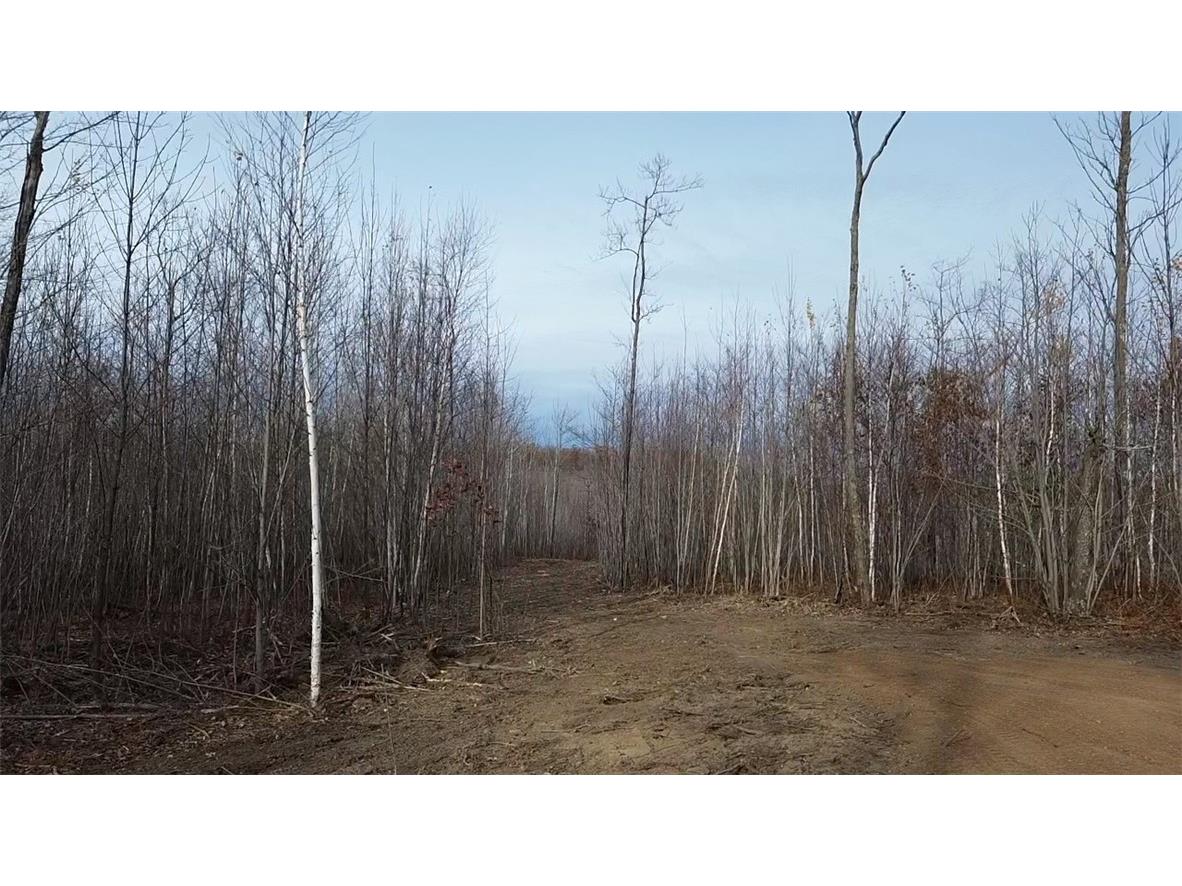 W58XX Oak Ridge Drive Trego WI 54888 1596933 image6