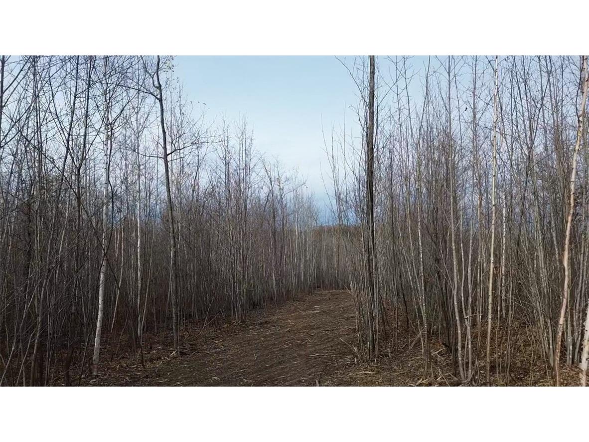 W58XX Oak Ridge Drive Trego WI 54888 1596933 image7