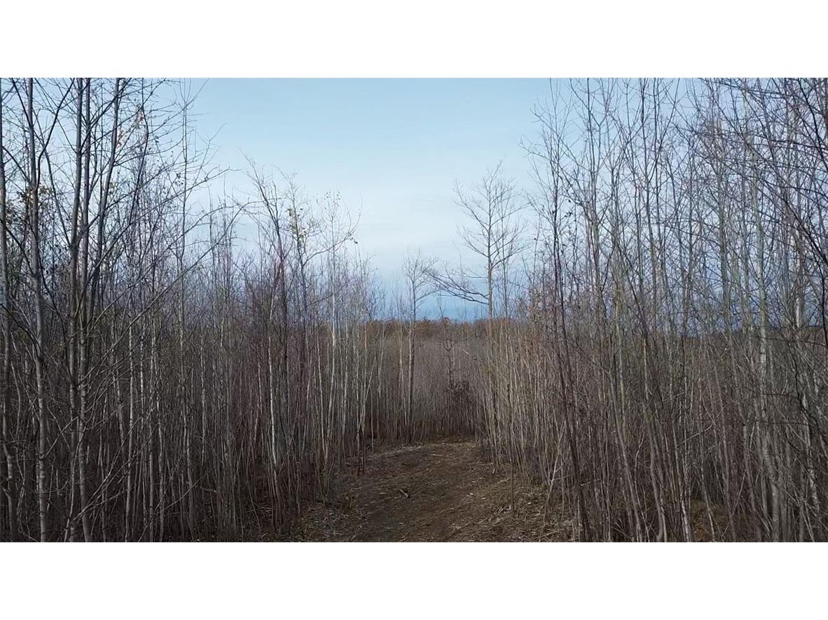 W58XX Oak Ridge Drive Trego WI 54888 1596933 image8