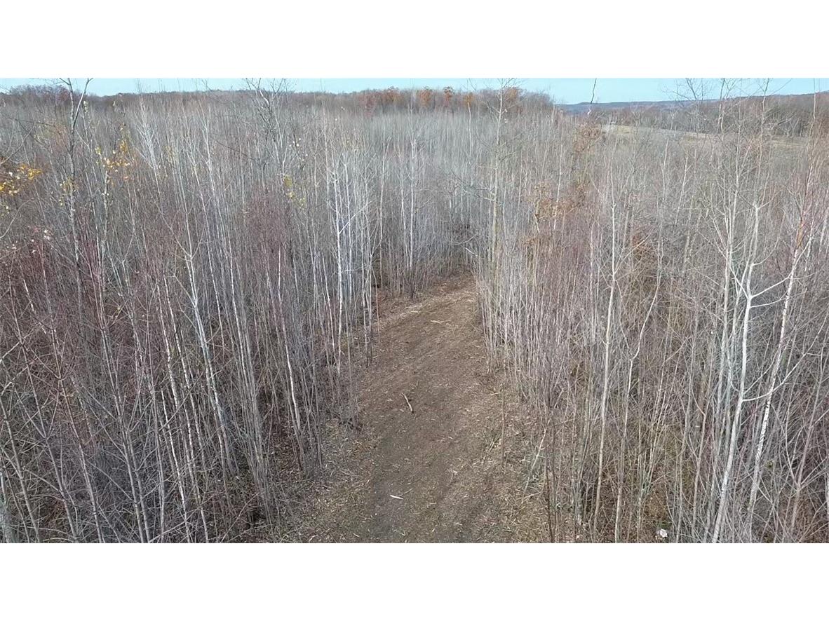 W58XX Oak Ridge Drive Trego WI 54888 1596933 image9