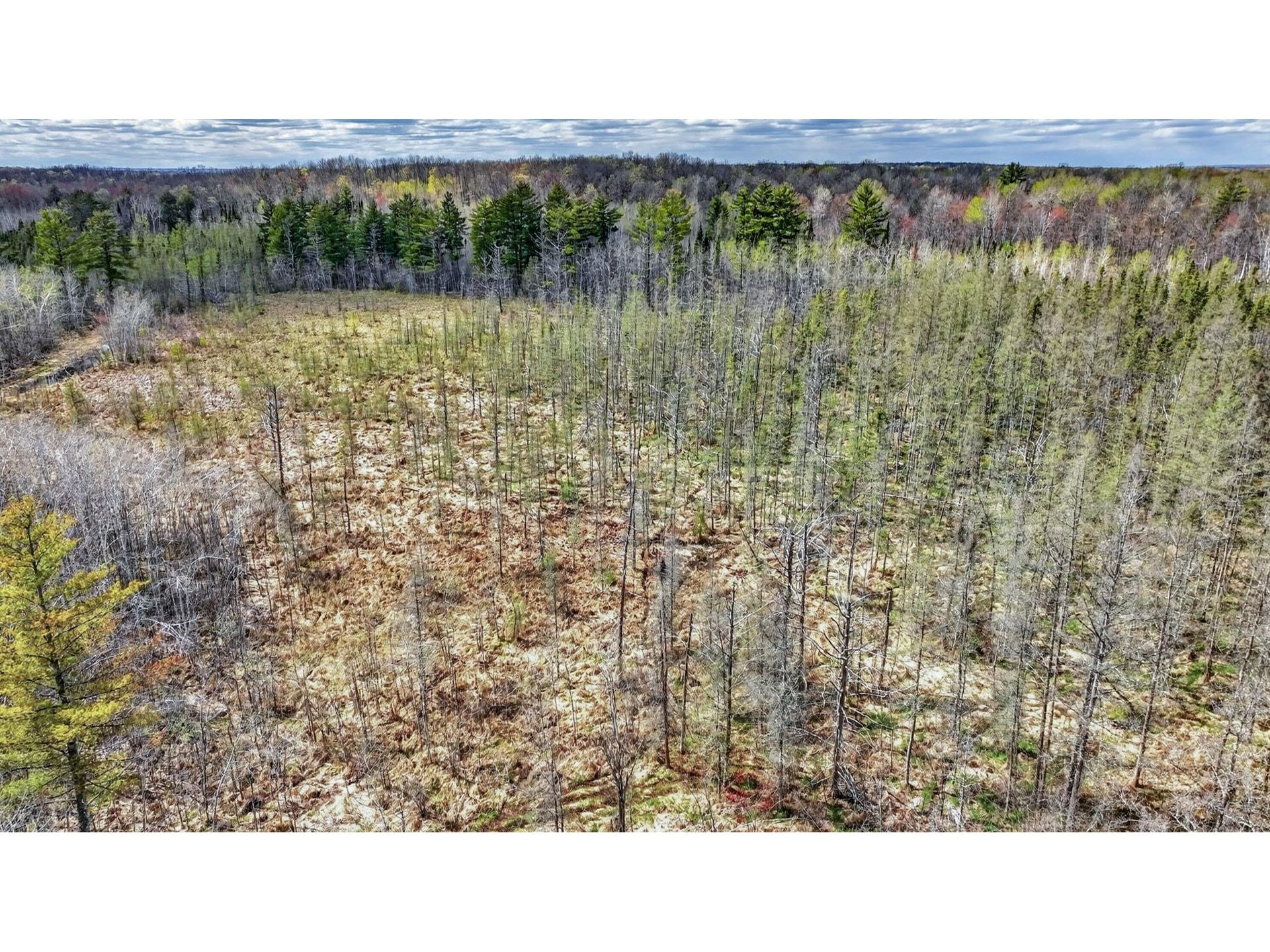 W6283 County Road I Ladysmith WI 54848 1600607 image43