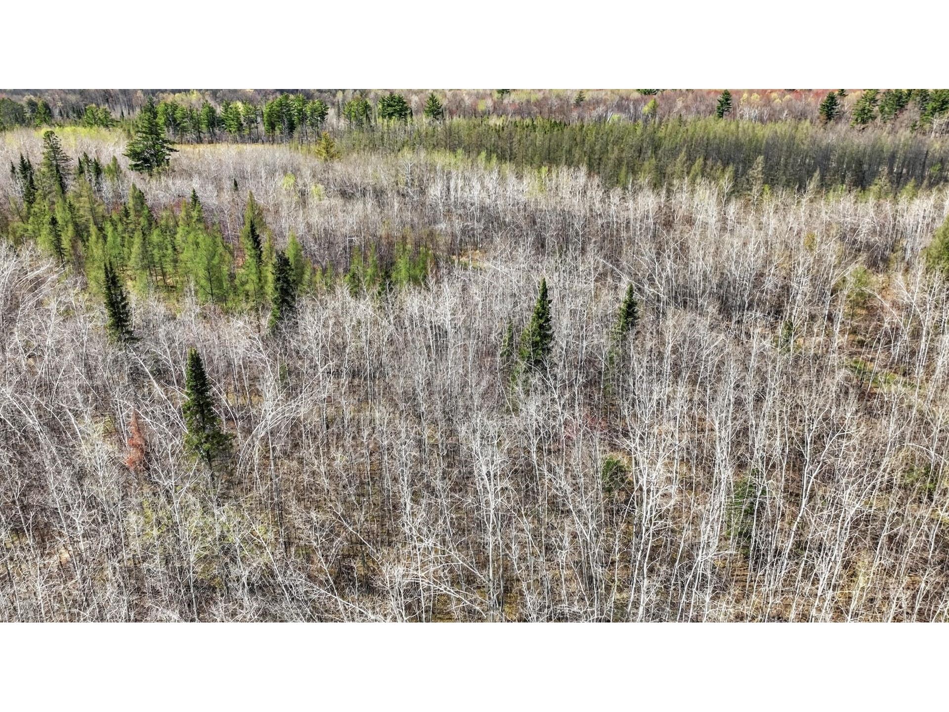 W6283 County Road I Ladysmith WI 54848 1600607 image45
