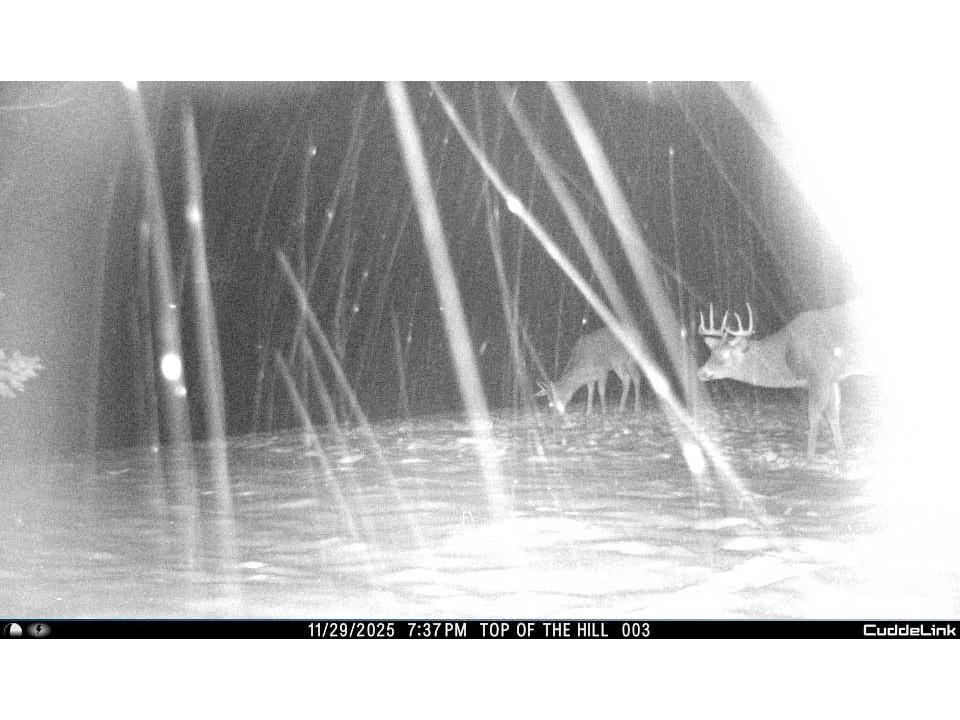 W6283 County Road I Ladysmith WI 54848 1600607 image46