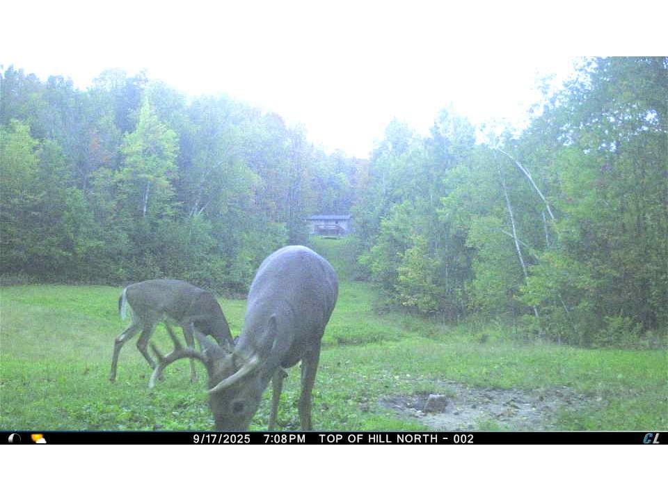 W6283 County Road I Ladysmith WI 54848 1600607 image49