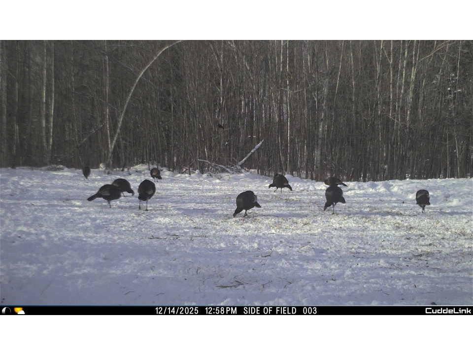 W6283 County Road I Ladysmith WI 54848 1600607 image50