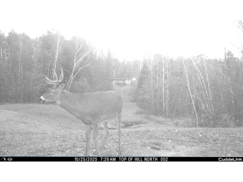 W6283 County Road I Ladysmith WI 54848 1600607 image54