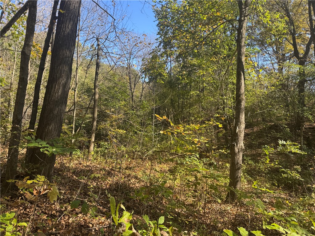 W6347 710th Avenue Beldenville WI 54003 1596363 image42