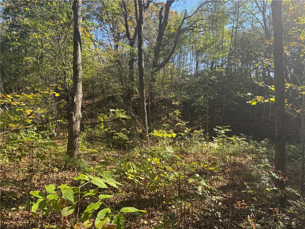 W6347 710th Avenue Beldenville WI 54003 1596363 image43