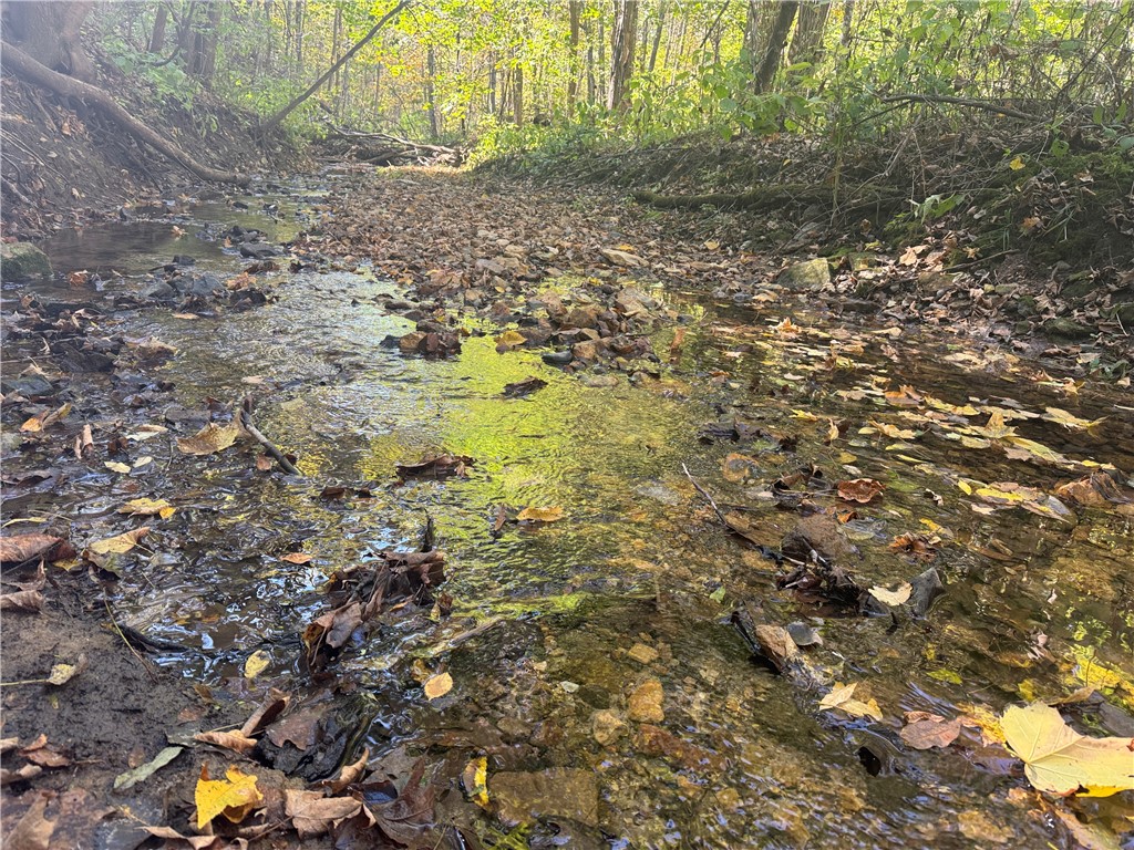 W6347 710th Avenue Beldenville WI 54003 1596363 image44