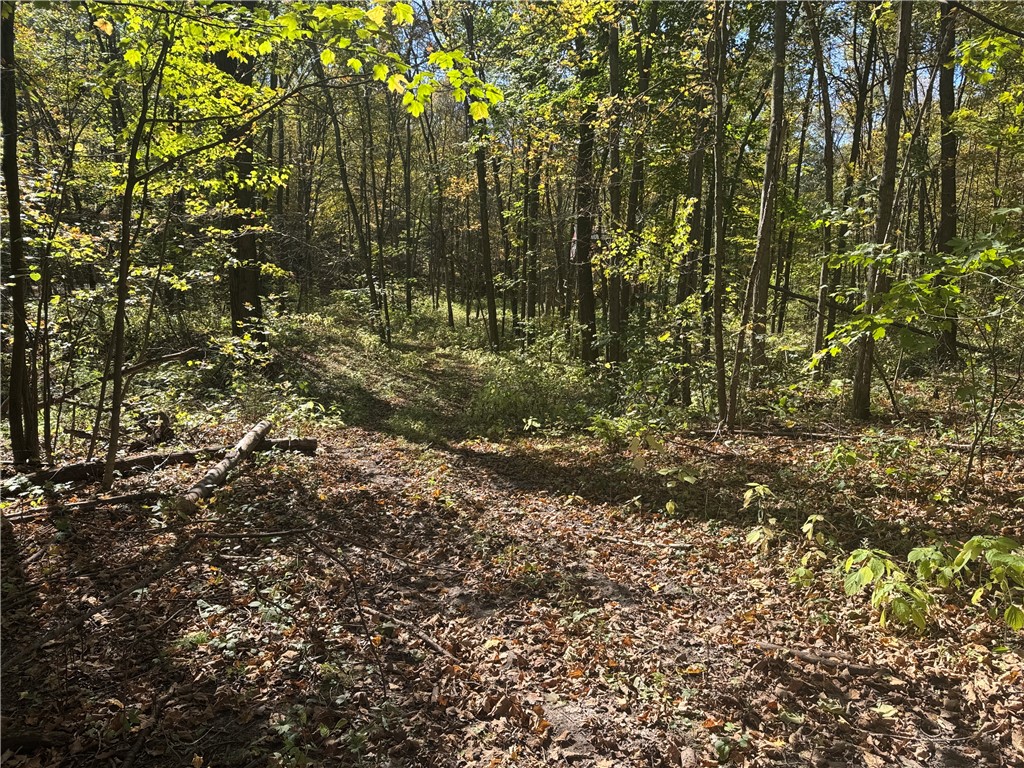 W6347 710th Avenue Beldenville WI 54003 1596363 image46