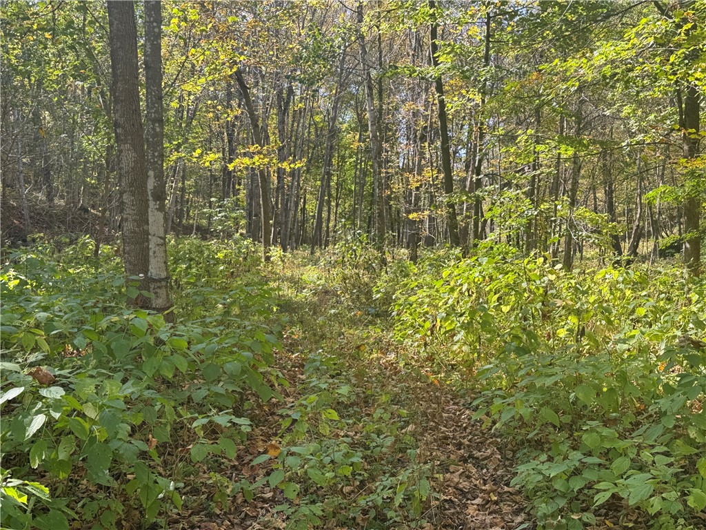 W6347 710th Avenue Beldenville WI 54003 1596363 image47