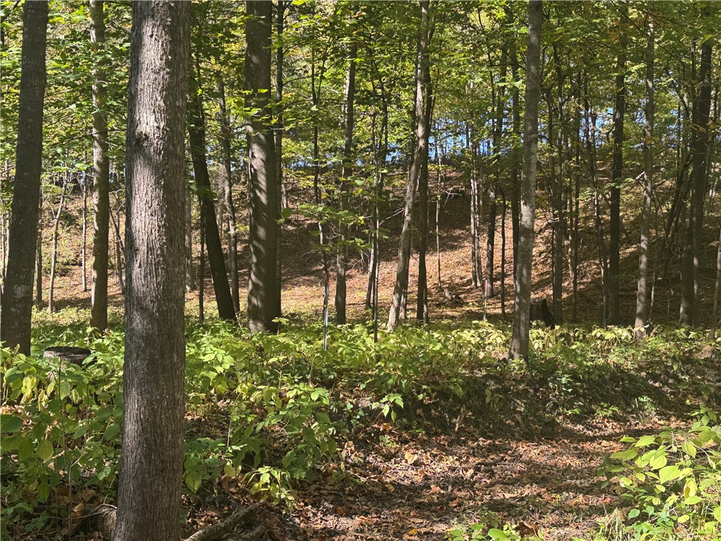 W6347 710th Avenue Beldenville WI 54003 1596363 image48