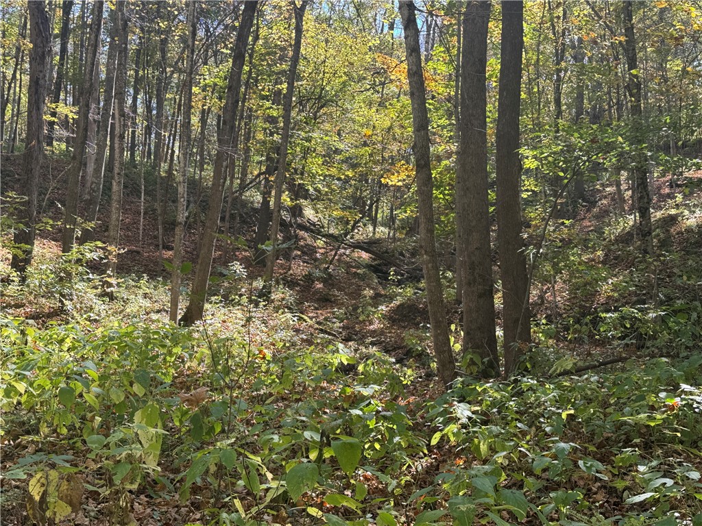 W6347 710th Avenue Beldenville WI 54003 1596363 image49