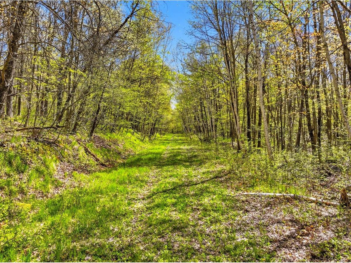 W6474 River Road Trego WI 54888 1601245 image10