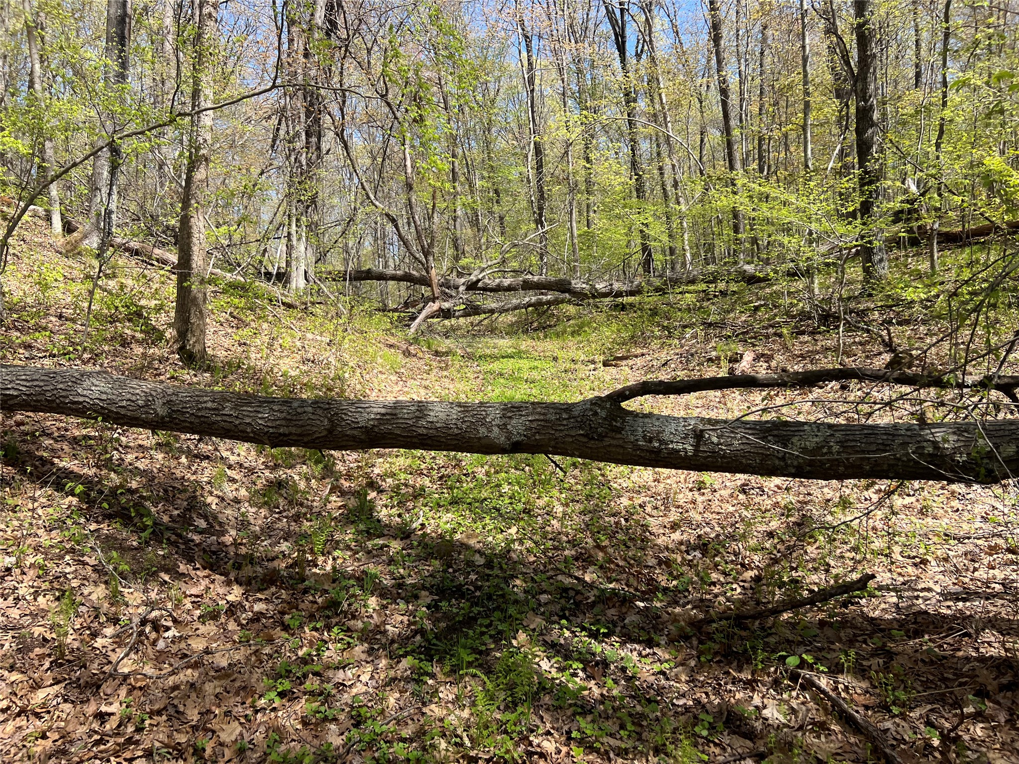 W6474 River Road Trego WI 54888 1601245 image11