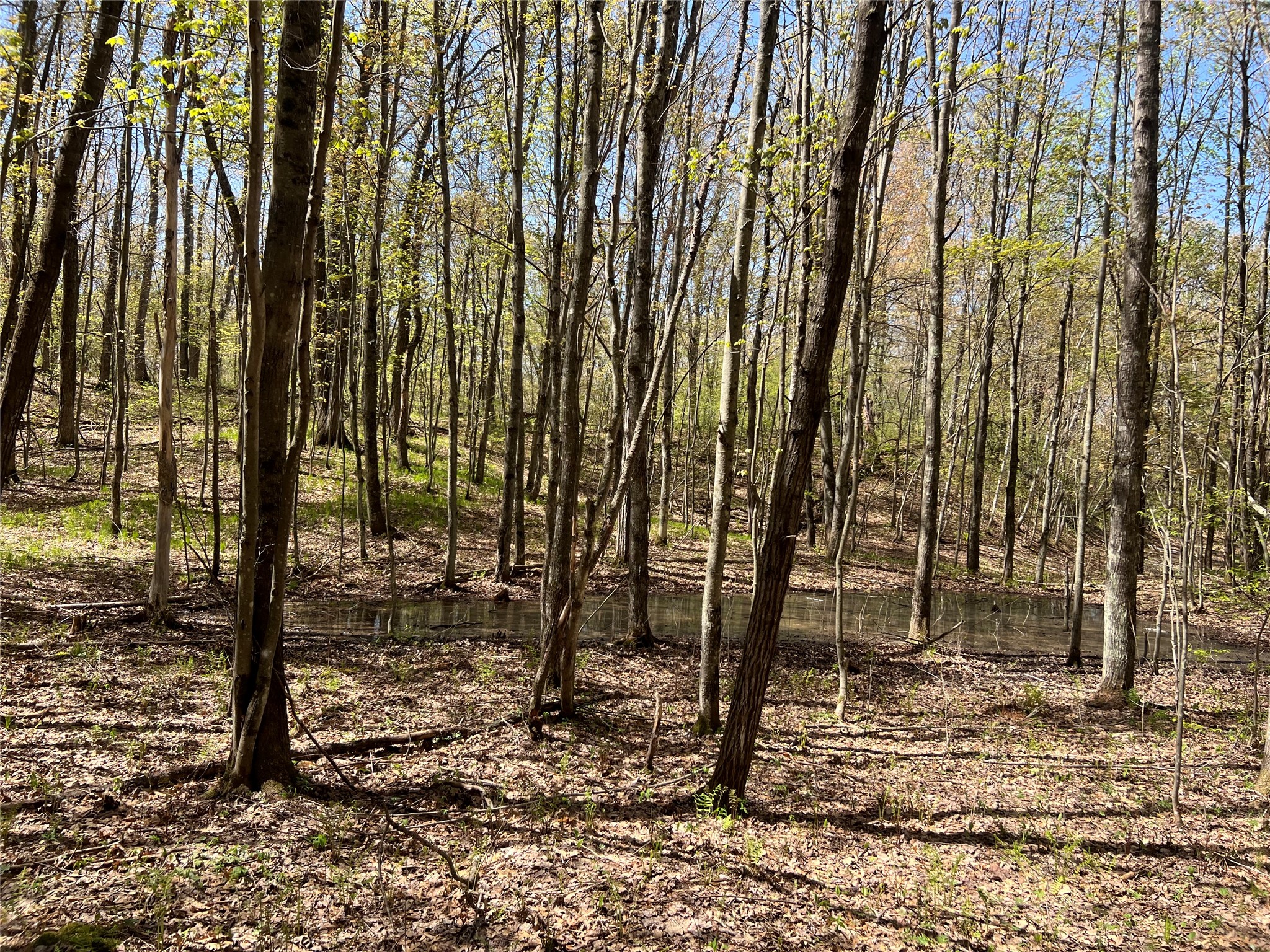 W6474 River Road Trego WI 54888 1601245 image13