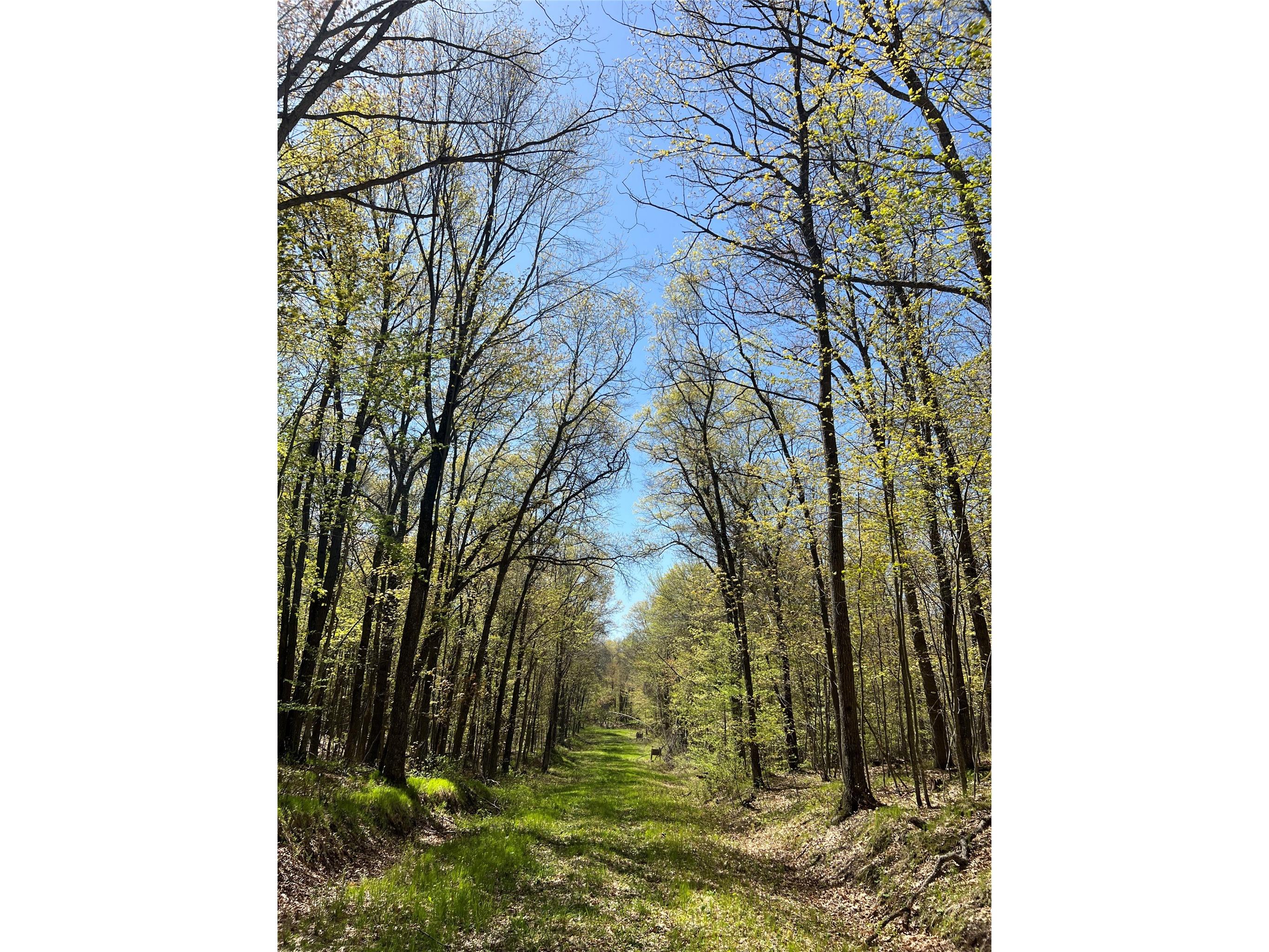 W6474 River Road Trego WI 54888 1601245 image14