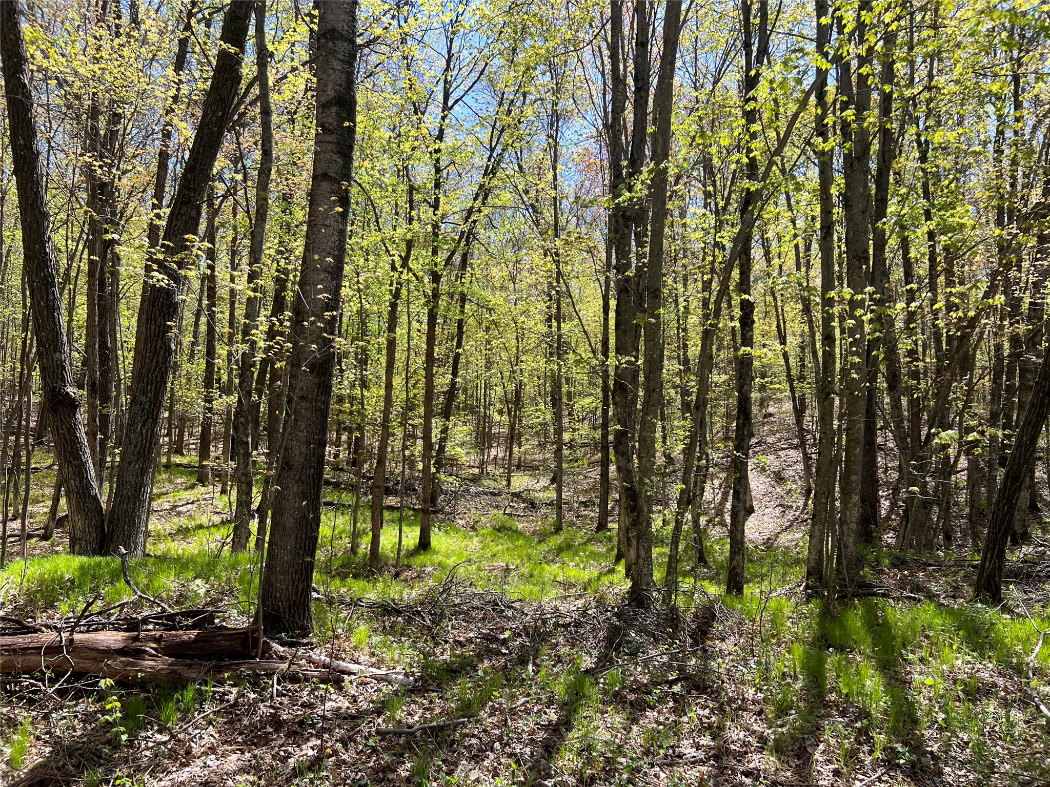 W6474 River Road Trego WI 54888 1601245 image16