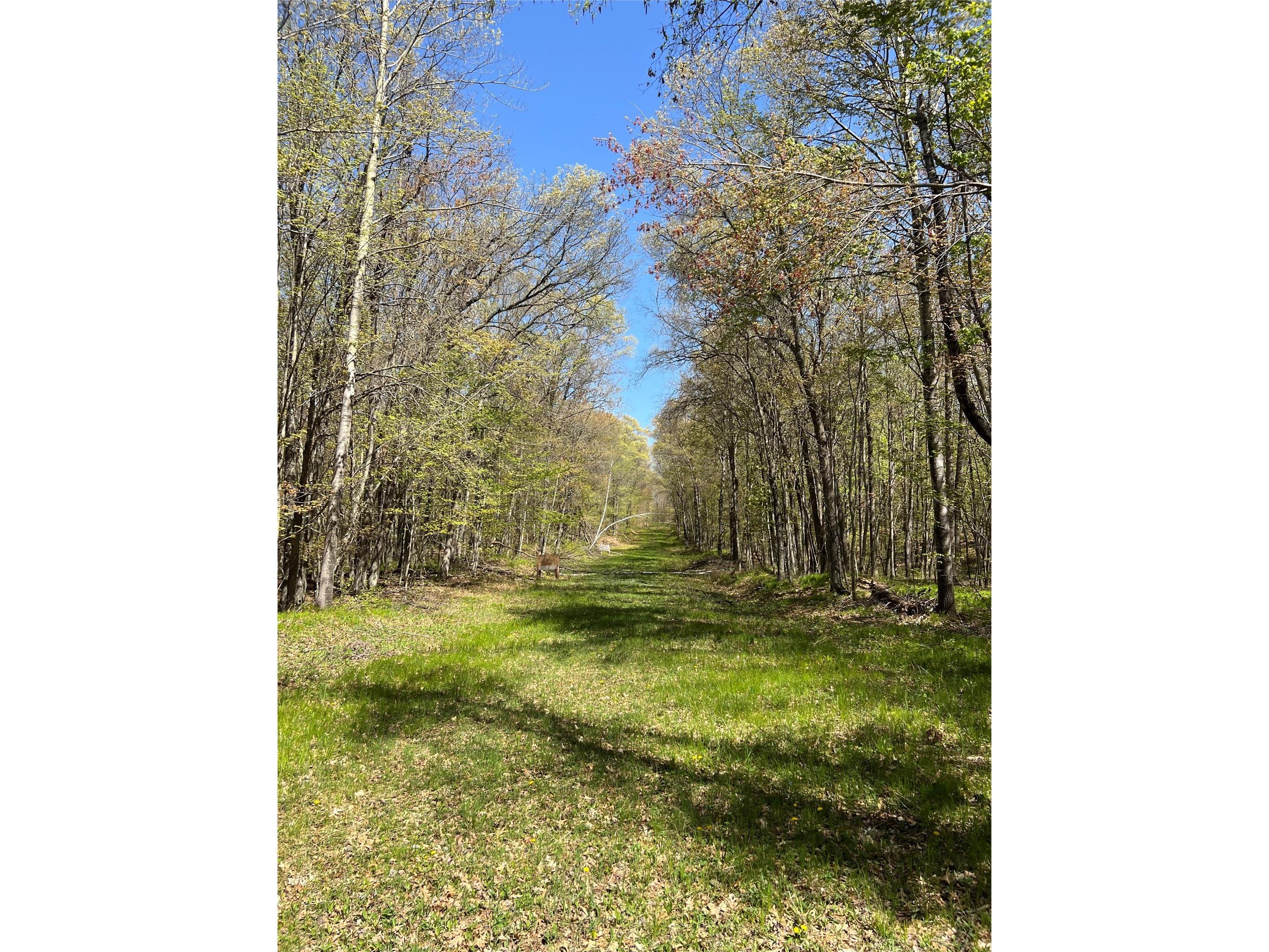 W6474 River Road Trego WI 54888 1601245 image17