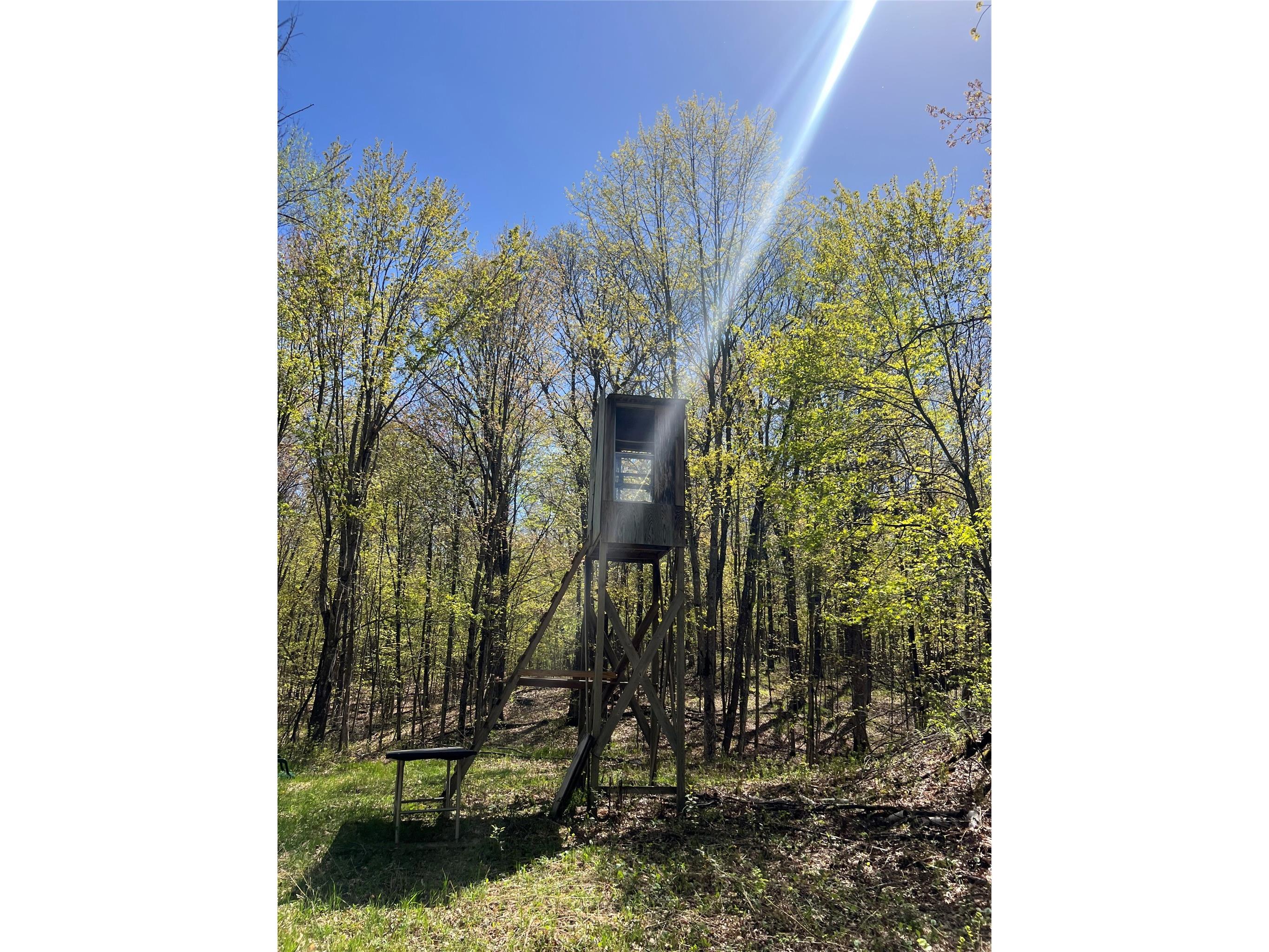 W6474 River Road Trego WI 54888 1601245 image19