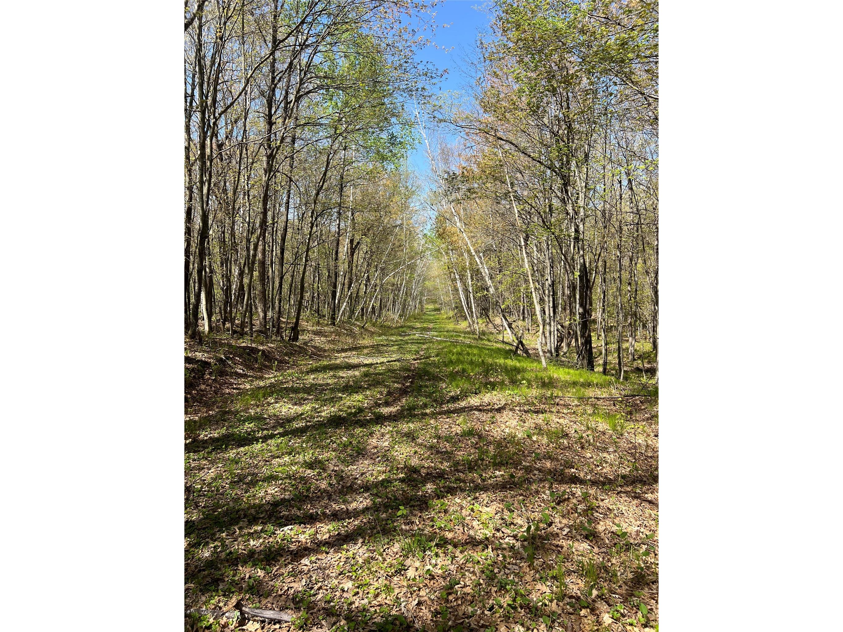 W6474 River Road Trego WI 54888 1601245 image20