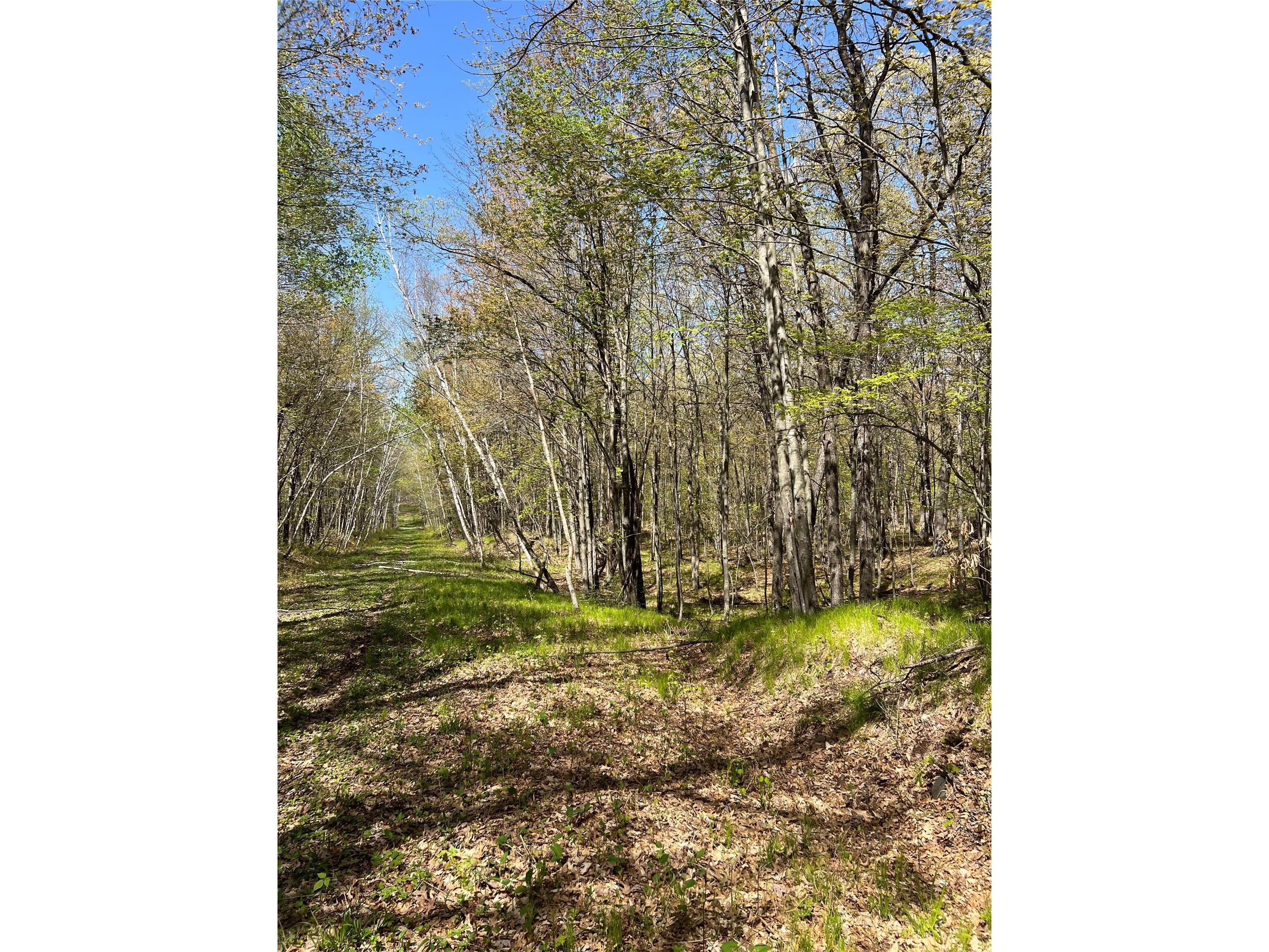 W6474 River Road Trego WI 54888 1601245 image21