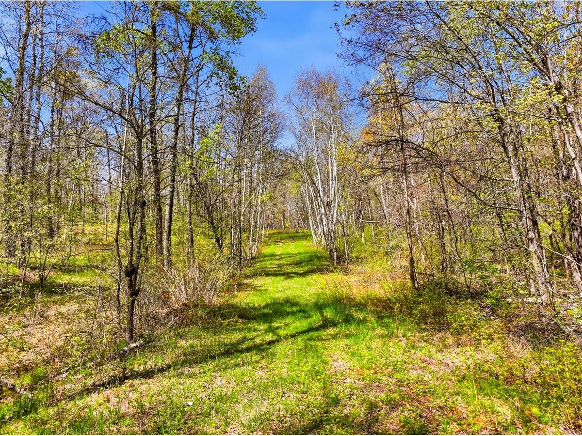 W6474 River Road Trego WI 54888 1601245 image9