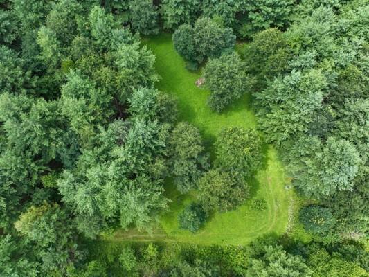 W6616 Poertner Road Neillsville WI 54456 1592432 image11