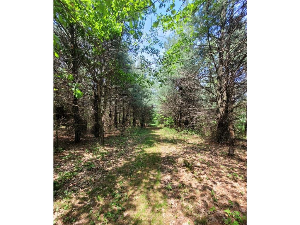 W6616 Poertner Road Neillsville WI 54456 1592432 image34