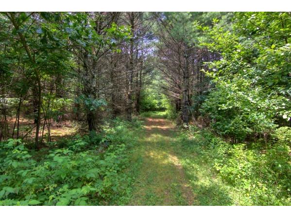 W6616 Poertner Road Neillsville WI 54456 1592432 image36