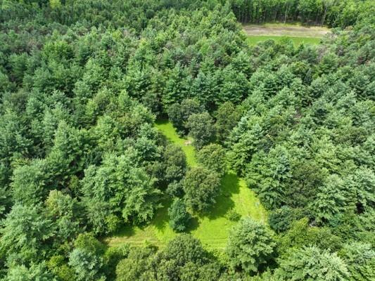 W6616 Poertner Road Neillsville WI 54456 1592432 image40