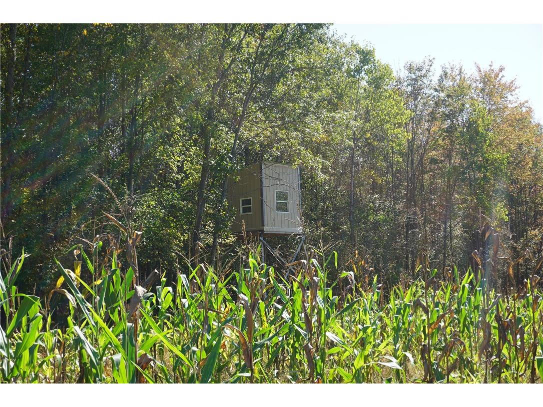 W6674 Poertner Road Neillsville WI 54456 1596061 image16