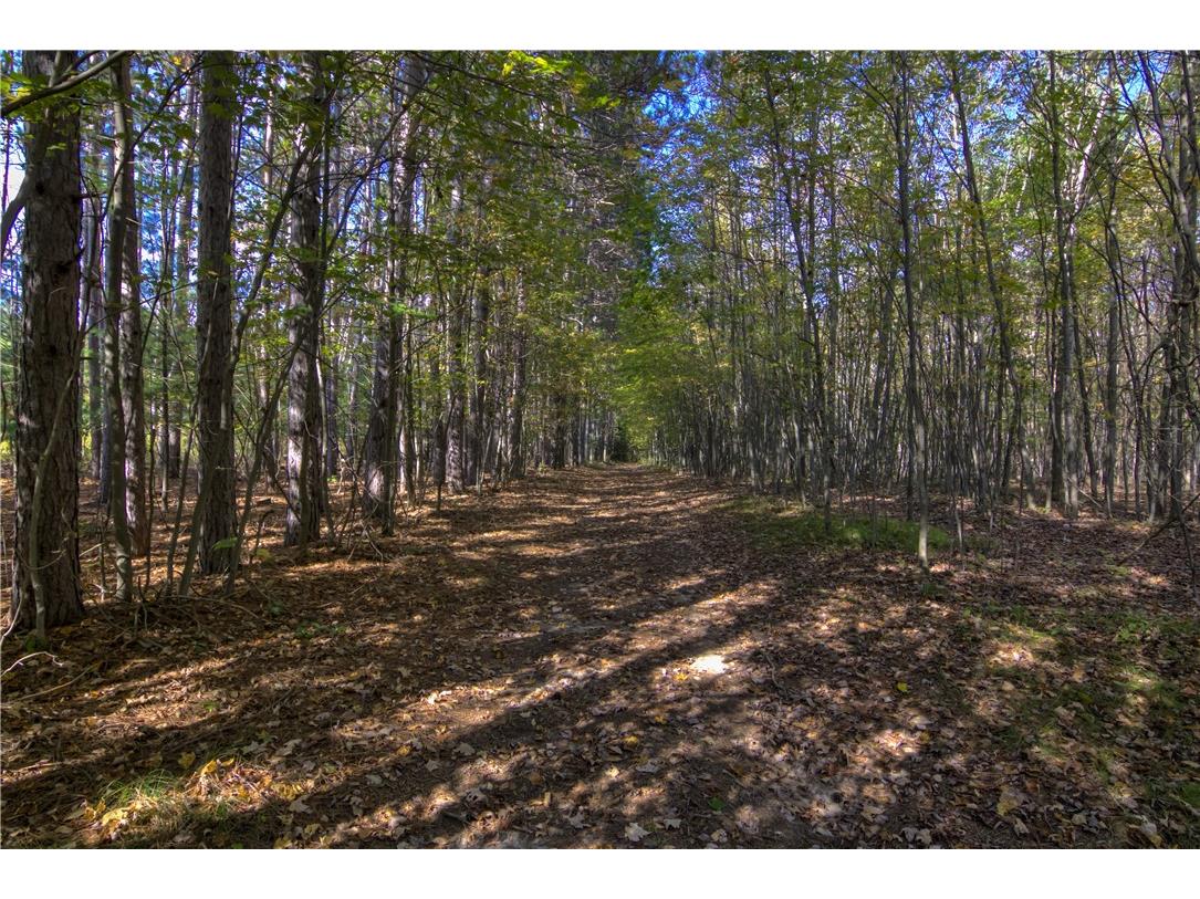 W6674 Poertner Road Neillsville WI 54456 1596061 image37