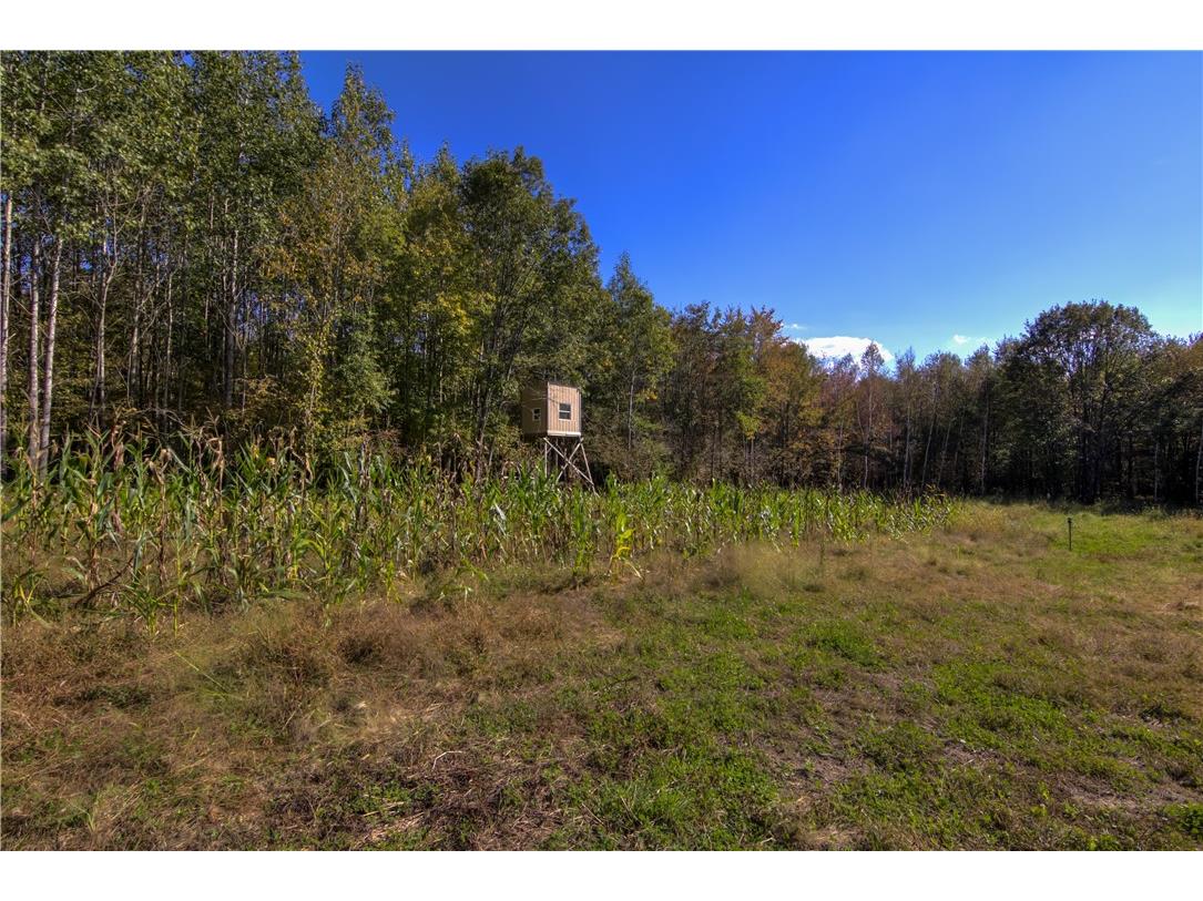 W6674 Poertner Road Neillsville WI 54456 1596061 image38