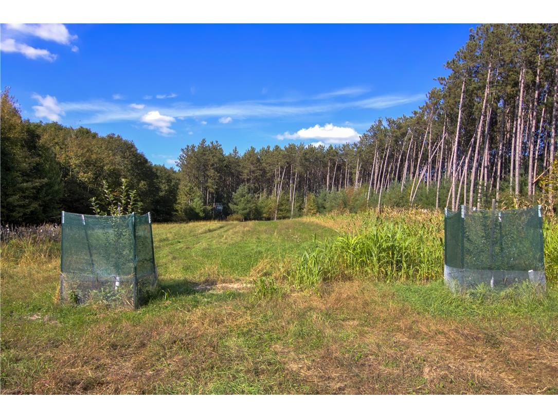 W6674 Poertner Road Neillsville WI 54456 1596061 image39