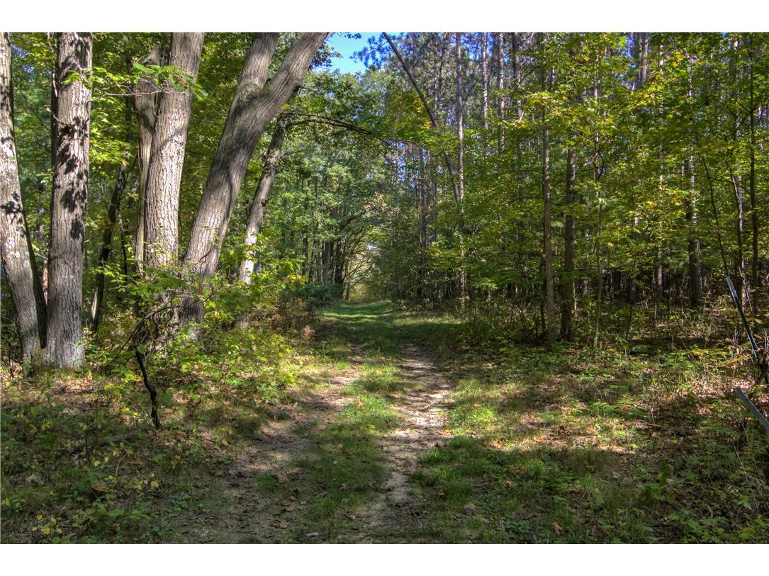 W6674 Poertner Road Neillsville WI 54456 1596061 image41