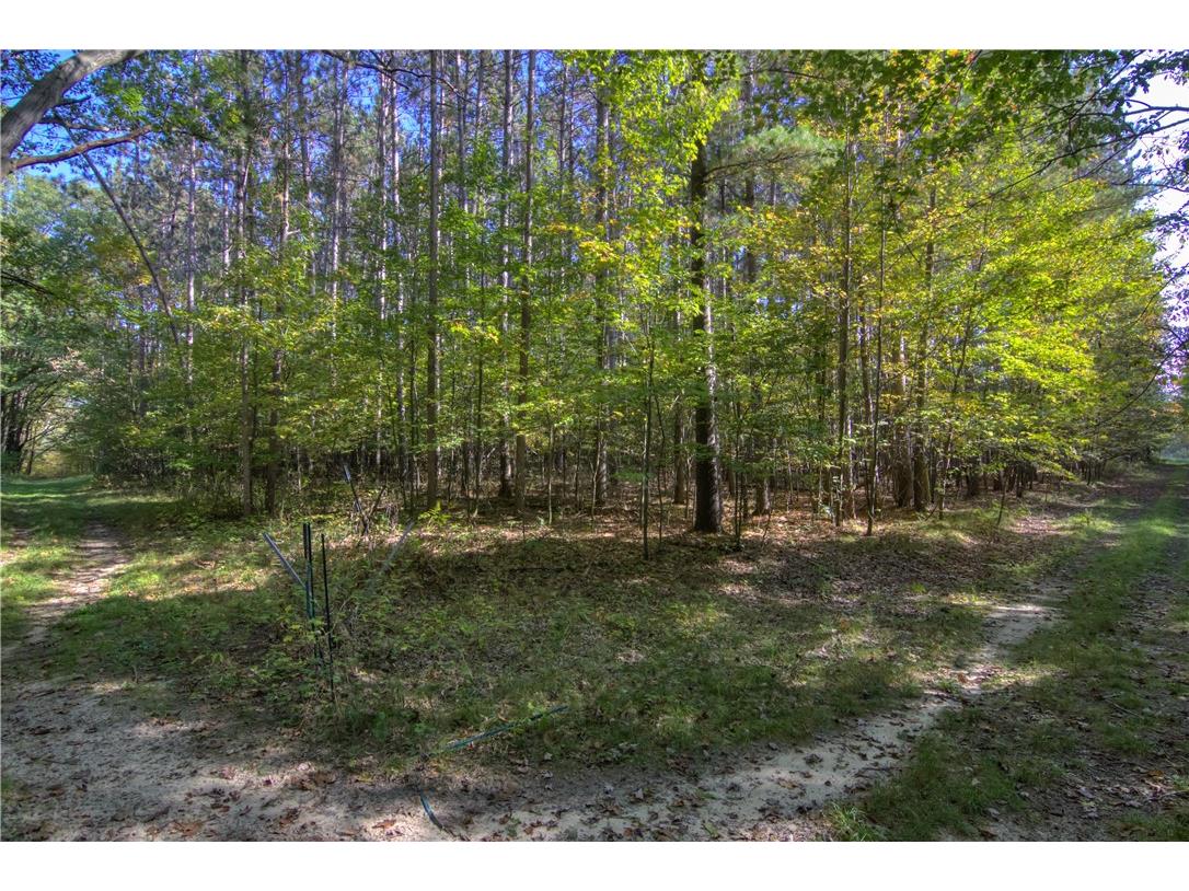 W6674 Poertner Road Neillsville WI 54456 1596061 image42