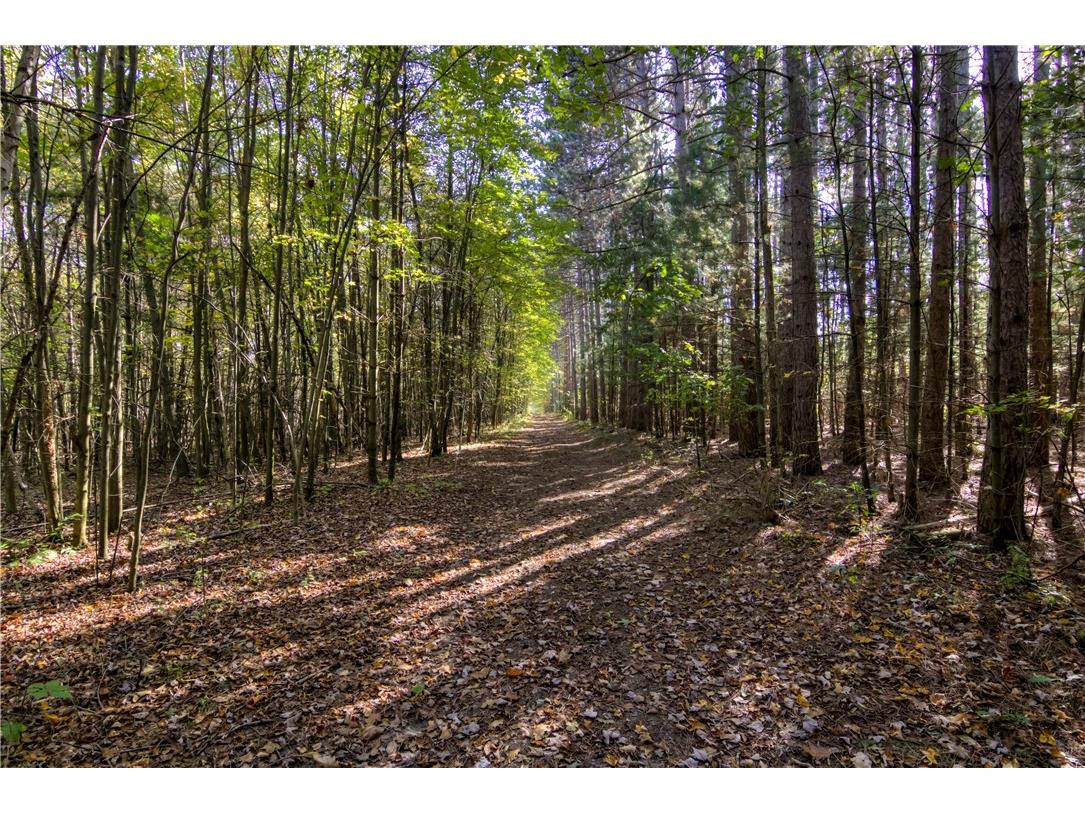 W6674 Poertner Road Neillsville WI 54456 1596061 image43